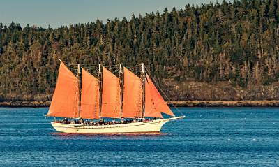 5: Maine-5