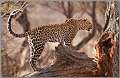 24: samburu_039