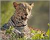 23: samburu_046