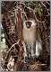 15: samburu_066