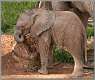 2: samburu_169