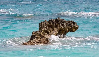 15: Bermuda-24