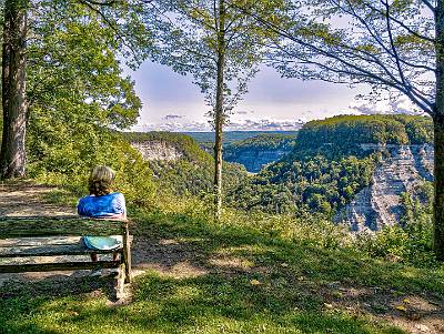 4: Letchworth-3