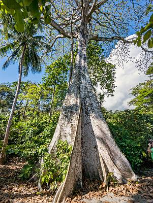 93: CostaRica_2023-103