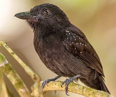 94: CostaRica_2023-104