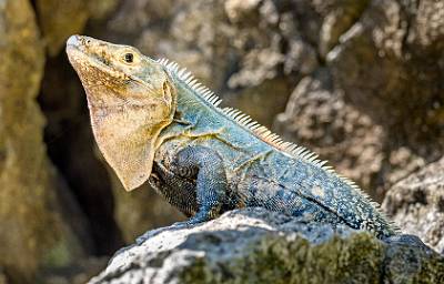97: CostaRica_2023-108