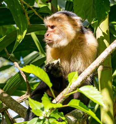 106: CostaRica_2023-118