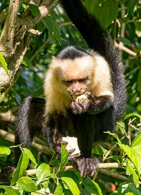 107: CostaRica_2023-119