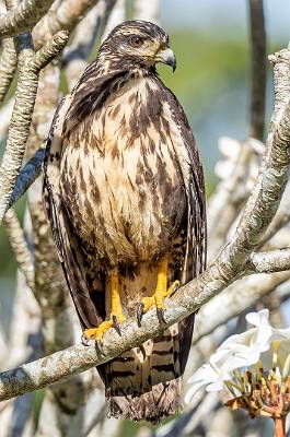 11: CostaRica_2023-12