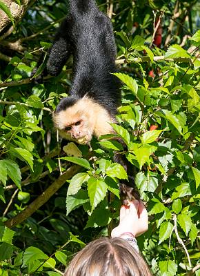 108: CostaRica_2023-120