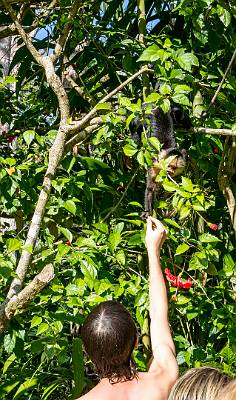110: CostaRica_2023-122