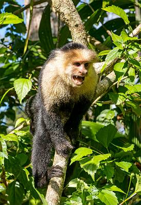 112: CostaRica_2023-124