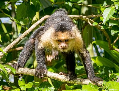 113: CostaRica_2023-125