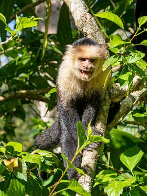 114: CostaRica_2023-126