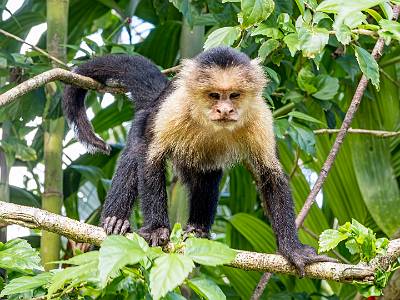 121: CostaRica_2023-133