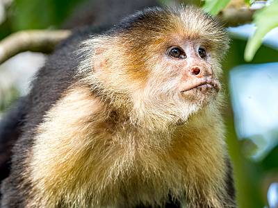 123: CostaRica_2023-135