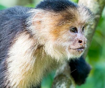 125: CostaRica_2023-137