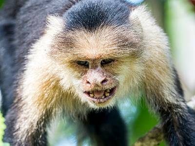 127: CostaRica_2023-140