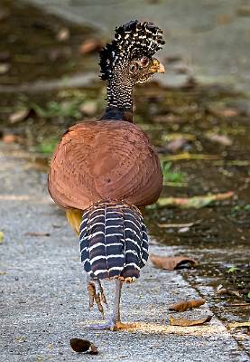 131: CostaRica_2023-144