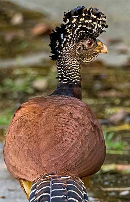132: CostaRica_2023-145