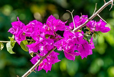 134: CostaRica_2023-148