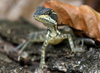 135: CostaRica_2023-149