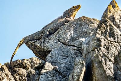 13: CostaRica_2023-15