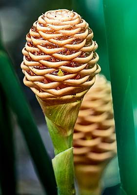 136: CostaRica_2023-150