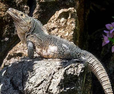 137: CostaRica_2023-151