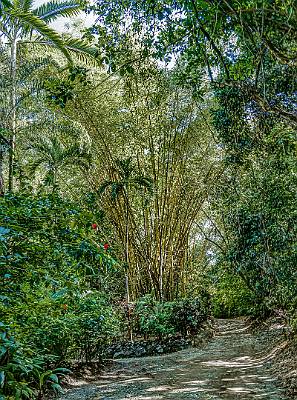 143: CostaRica_2023-158