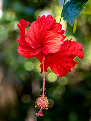 144: CostaRica_2023-159