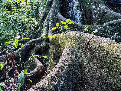 145: CostaRica_2023-160