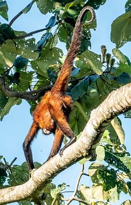 15: CostaRica_2023-17