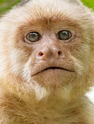 156: CostaRica_2023-172