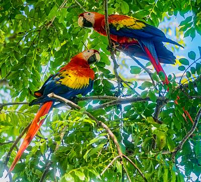 161: CostaRica_2023-177