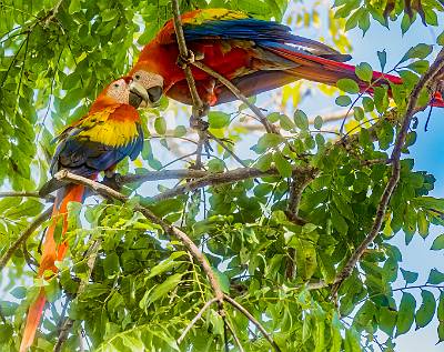 162: CostaRica_2023-178