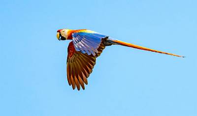 165: CostaRica_2023-182