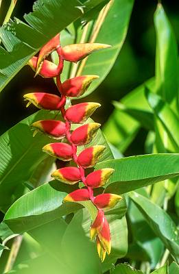 174: CostaRica_2023-191