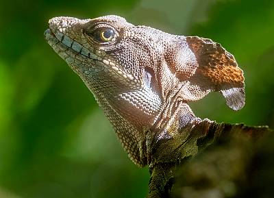 176: CostaRica_2023-193