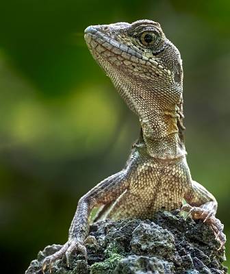 177: CostaRica_2023-194