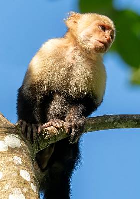 18: CostaRica_2023-20
