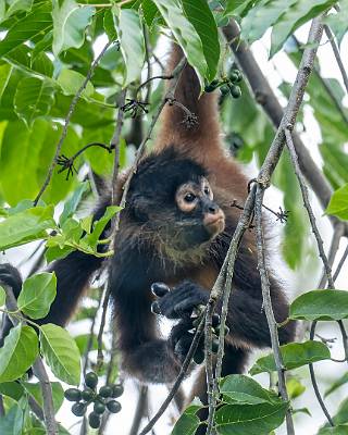 19: CostaRica_2023-22