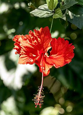 36: CostaRica_2023-39