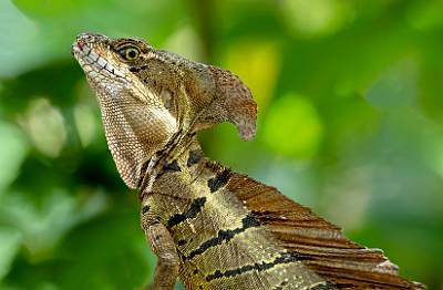 45: CostaRica_2023-50