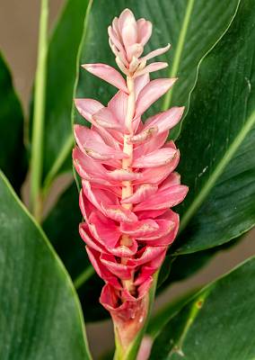 52: CostaRica_2023-58