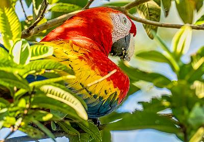 68: CostaRica_2023-77