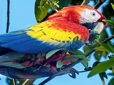 69: CostaRica_2023-79