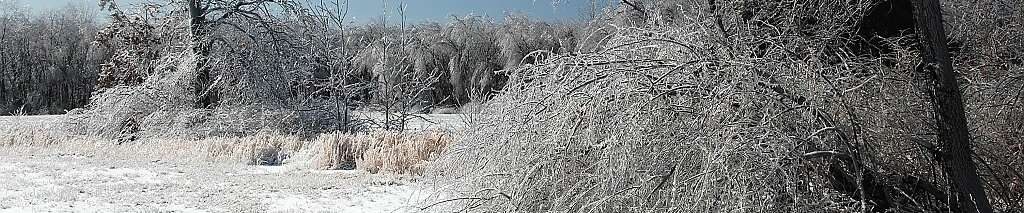Various NJ Pics II