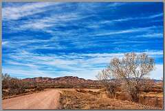 19: Bosque-2016-58