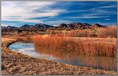 22: Bosque-2016-65
